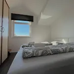 Rotim * Zára
