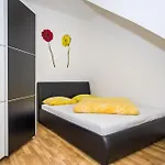 Rotim זאדאר