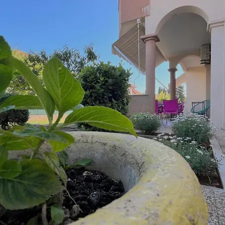 Apartman Rotim Zára